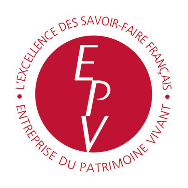 epv logo png